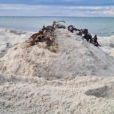 Dom wakacyjny Silberstern Damp