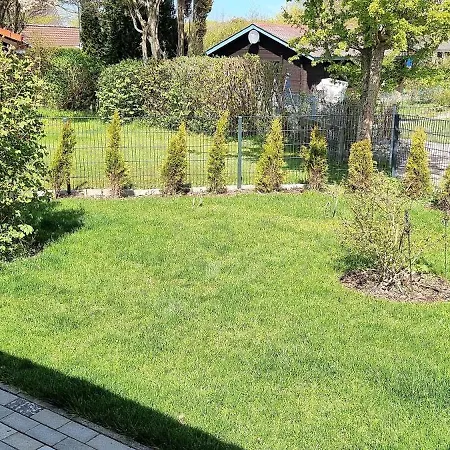 Silberstern Damp
