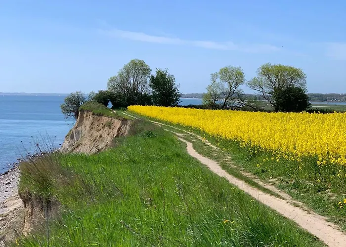 Vakantiehuis Silberstern Damp